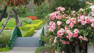 Other Gardens in Chandigarh